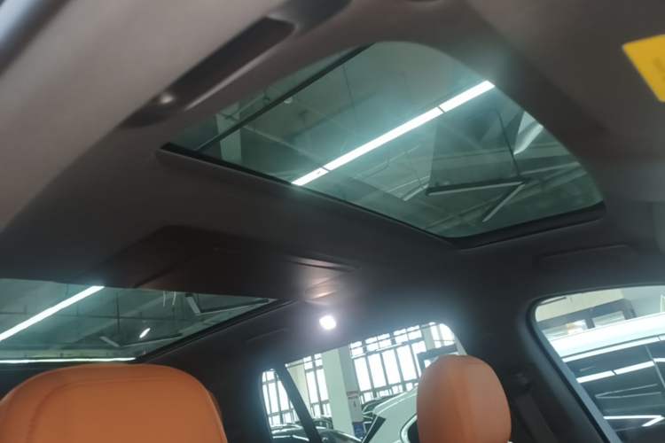 Used Li Auto L9 2022 Max model Headliner