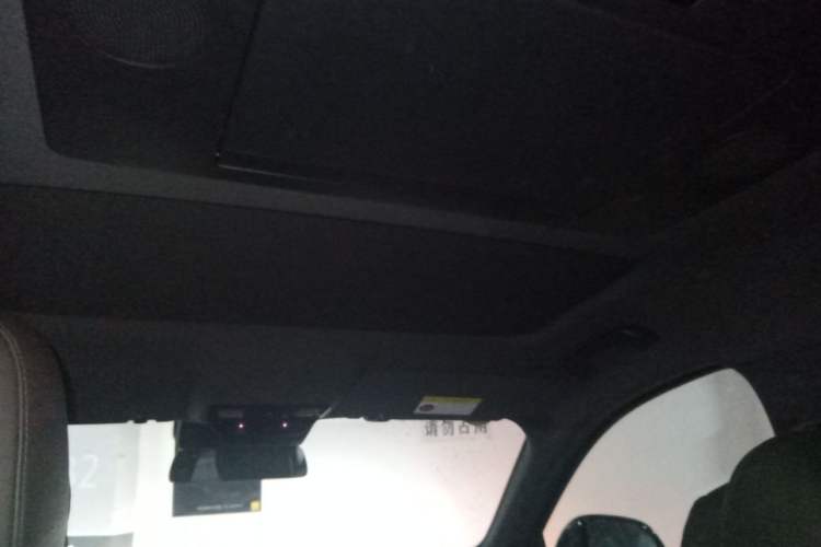 Used Li Auto L9 2022 Max model Headliner