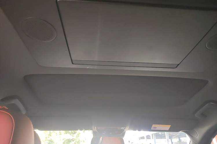 Used Li Auto L9 2022 Max model Headliner
