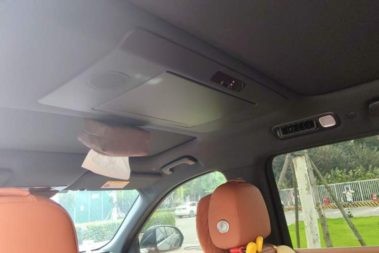 Used Li Auto L9 2022 Max model Headliner
