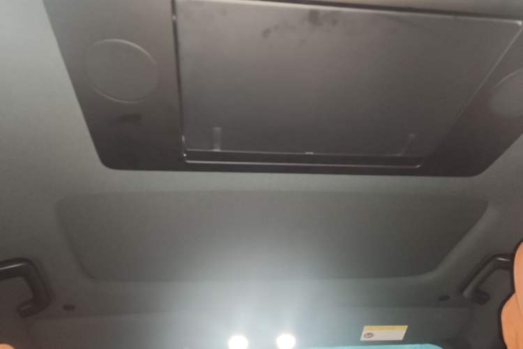 Used Li Auto L9 2022 Max model Headliner
