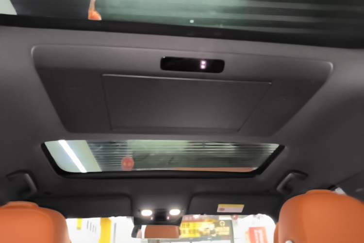 Used Li Auto L9 2022 Max model Headliner