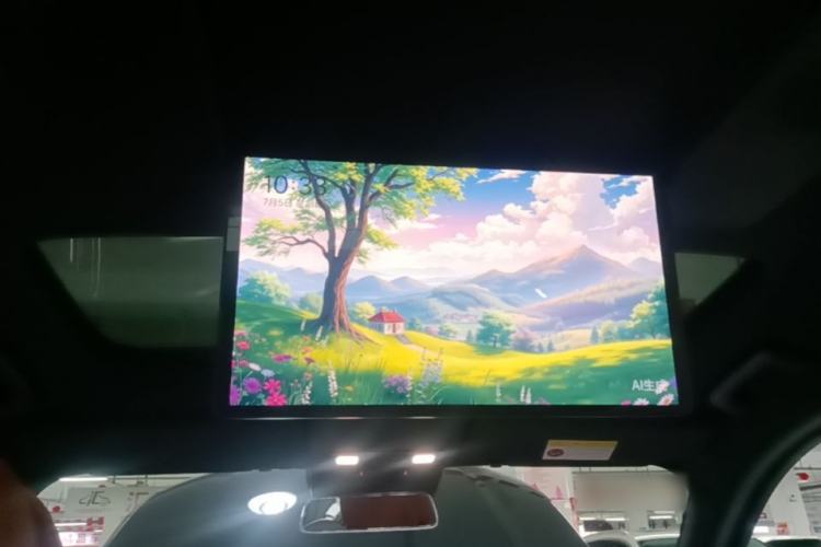 Used Li Auto L9 2022 Max model Headliner