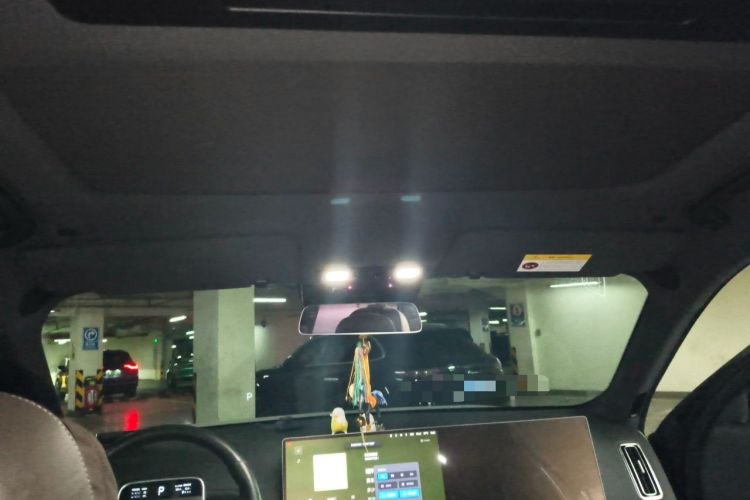 Used Li Auto L9 2022 Max model Headliner
