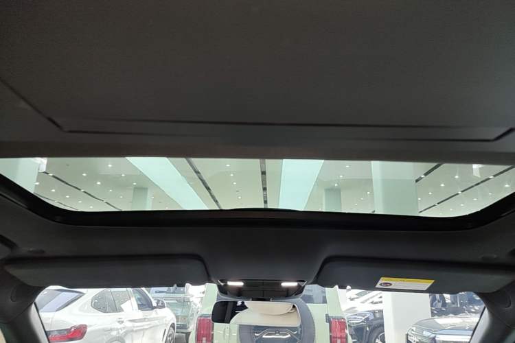 Used Li Auto L9 2022 Max model Headliner