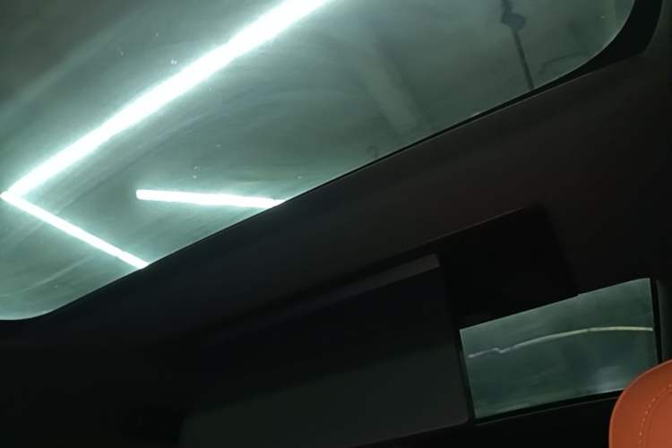 Used Li Auto L9 2022 Max model Headliner
