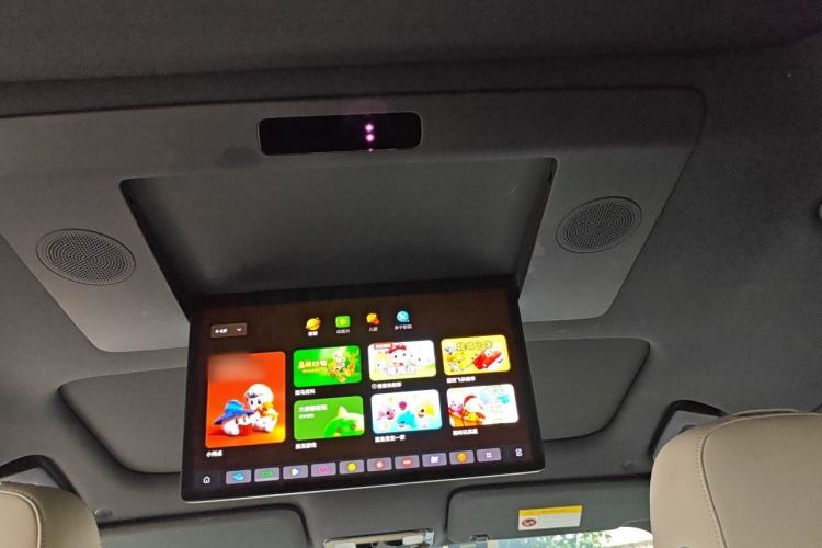 Used Li Auto L9 2022 Max model Headliner