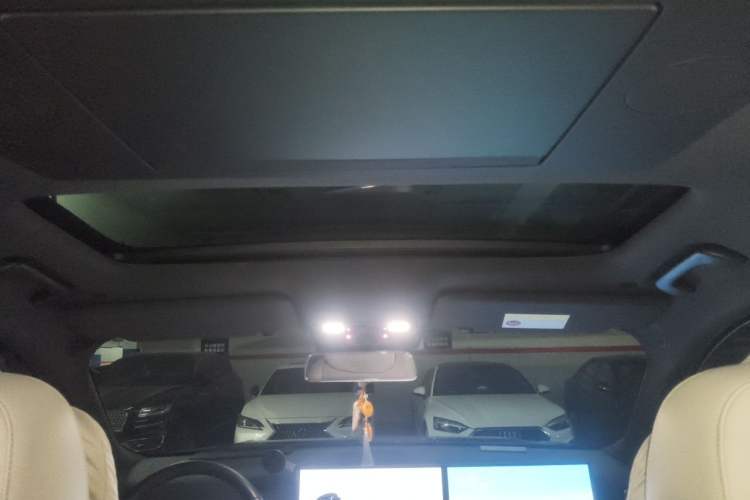 Used Li Auto L9 2022 Max model Headliner