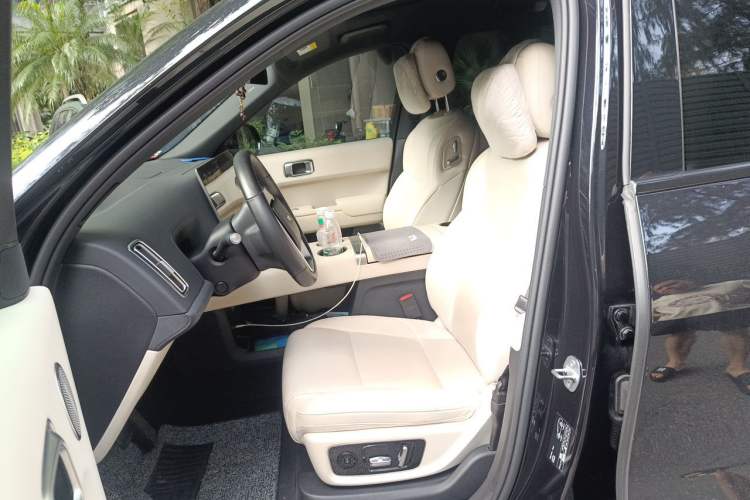 Used Li Auto L9 2022 Max model Left Front Seat