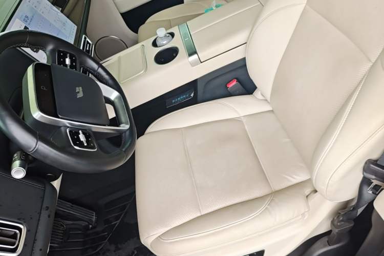 Used Li Auto L9 2022 Max model Left Front Seat