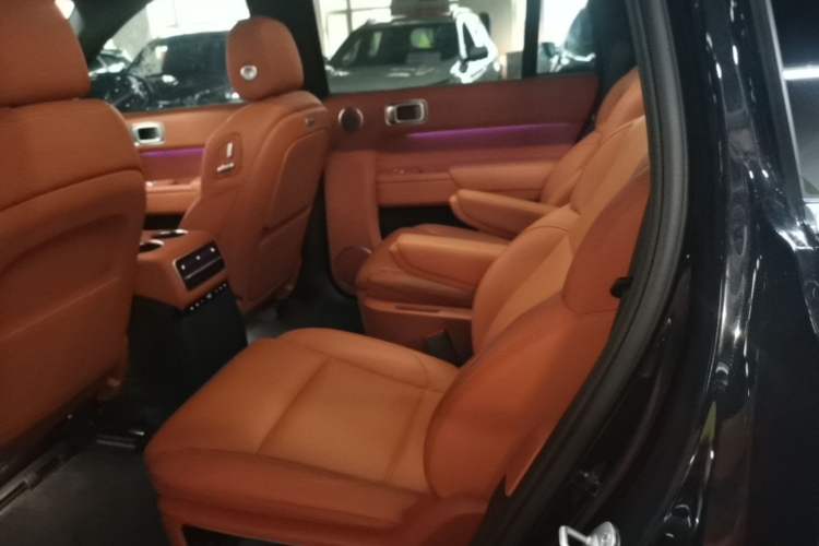 Used Li Auto L9 2022 Max model Left Rear Seat