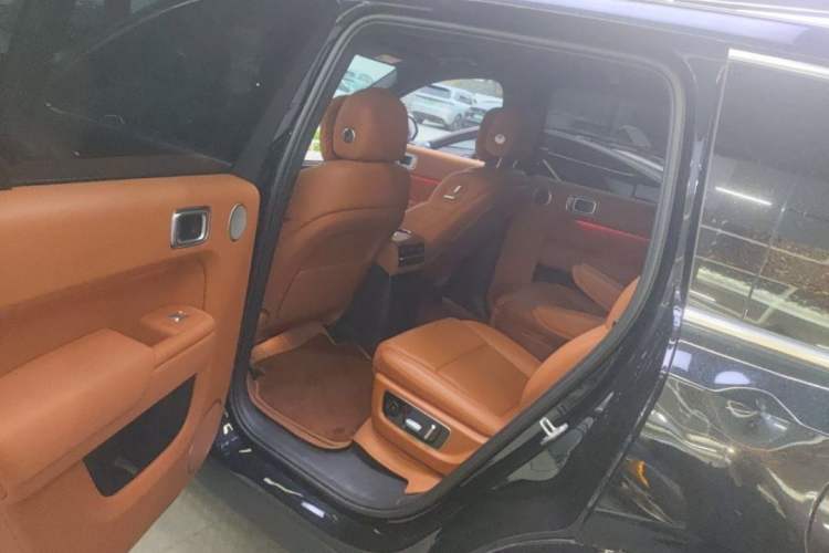 Used Li Auto L9 2022 Max model Left Rear Seat