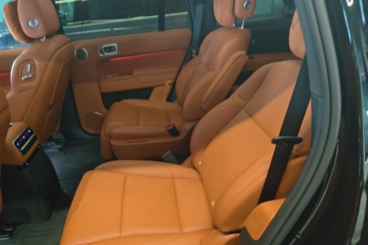 Used Li Auto L9 2022 Max model Left Rear Seat