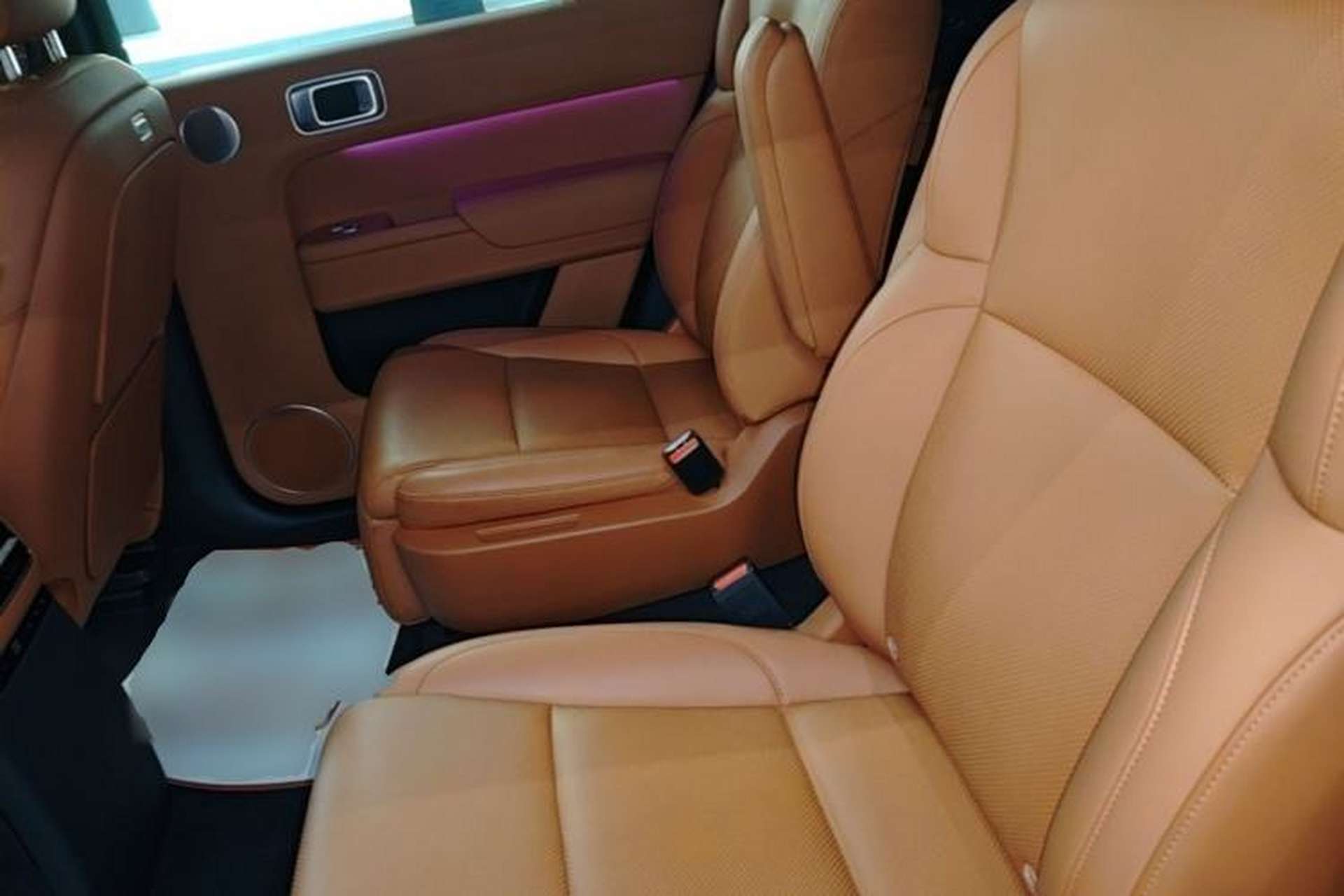 Used Li Auto L9 2022 Max model Left Rear Seat