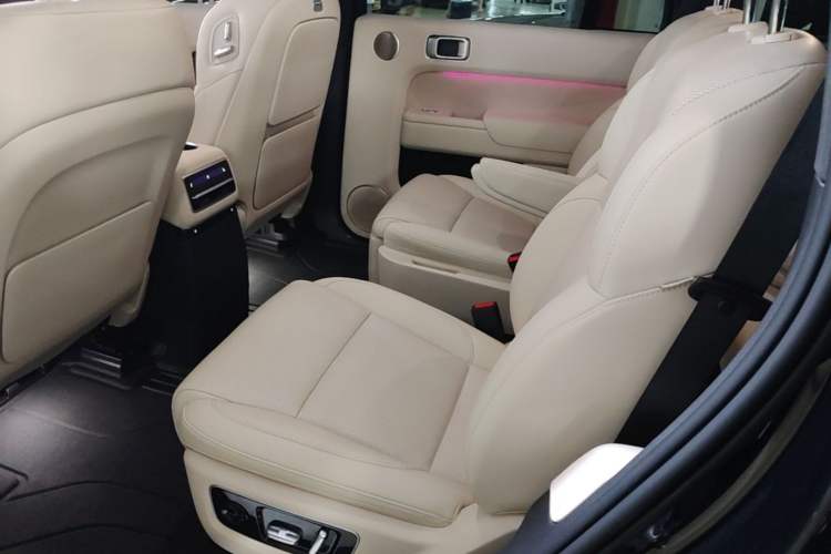 Used Li Auto L9 2022 Max model Left Rear Seat