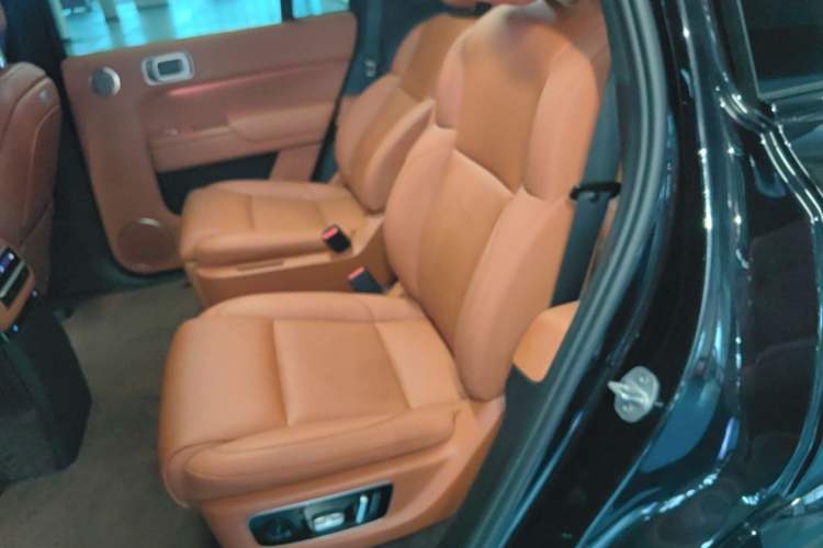 Used Li Auto L9 2022 Max model Left Rear Seat