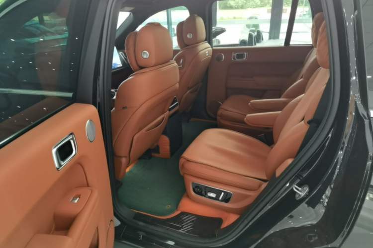 Used Li Auto L9 2022 Max model Left Rear Seat