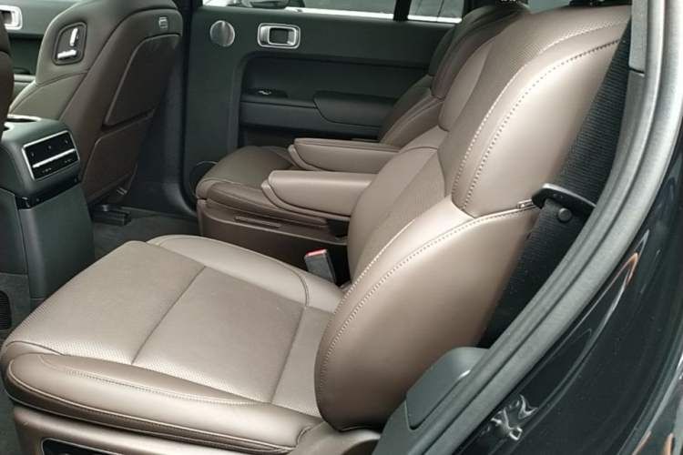 Used Li Auto L9 2022 Max model Left Rear Seat