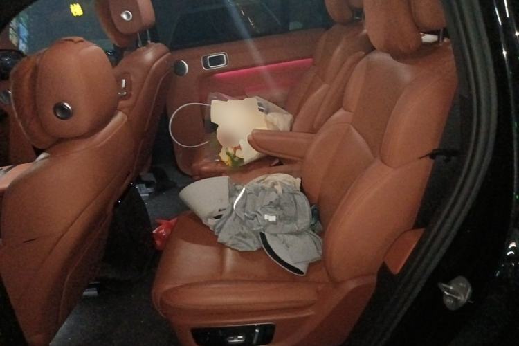 Used Li Auto L9 2022 Max model Left Rear Seat