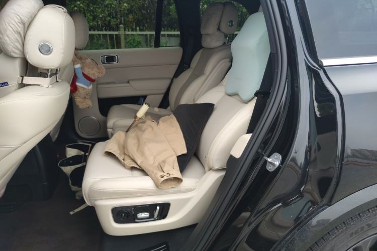 Used Li Auto L9 2022 Max model Left Rear Seat