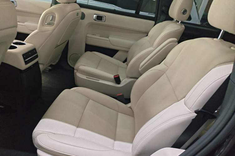 Used Li Auto L9 2022 Max model Left Rear Seat