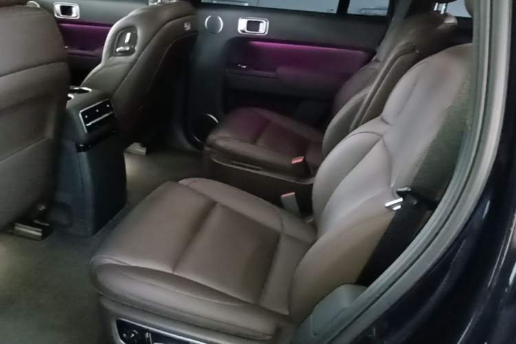 Used Li Auto L9 2022 Max model Left Rear Seat