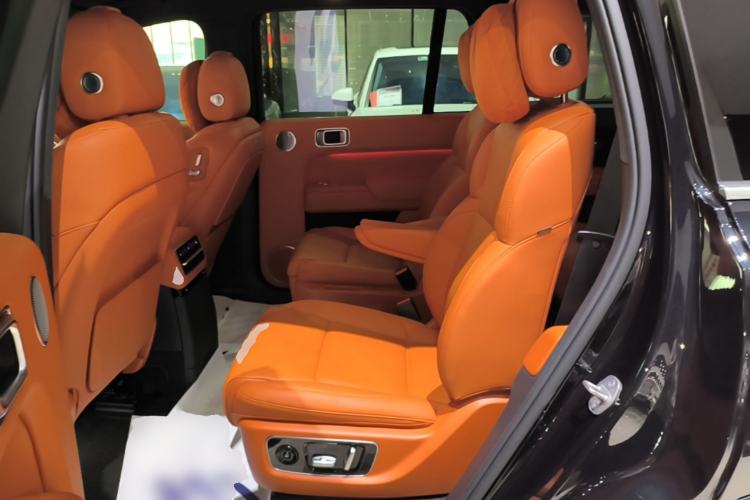 Used Li Auto L9 2022 Max model Left Rear Seat