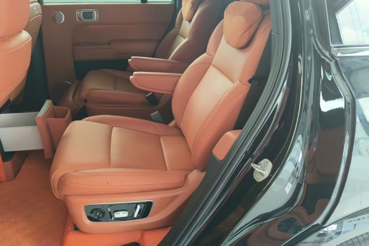 Used Li Auto L9 2022 Max model Left Rear Seat