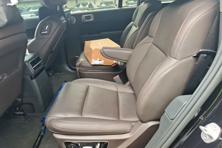 Used Li Auto L9 2022 Max model Left Rear Seat