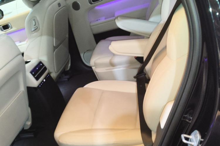 Used Li Auto L9 2022 Max model Left Rear Seat