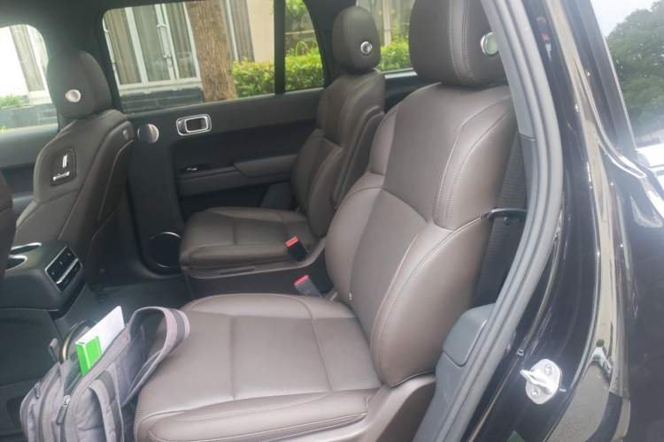 Used Li Auto L9 2022 Max model Left Rear Seat