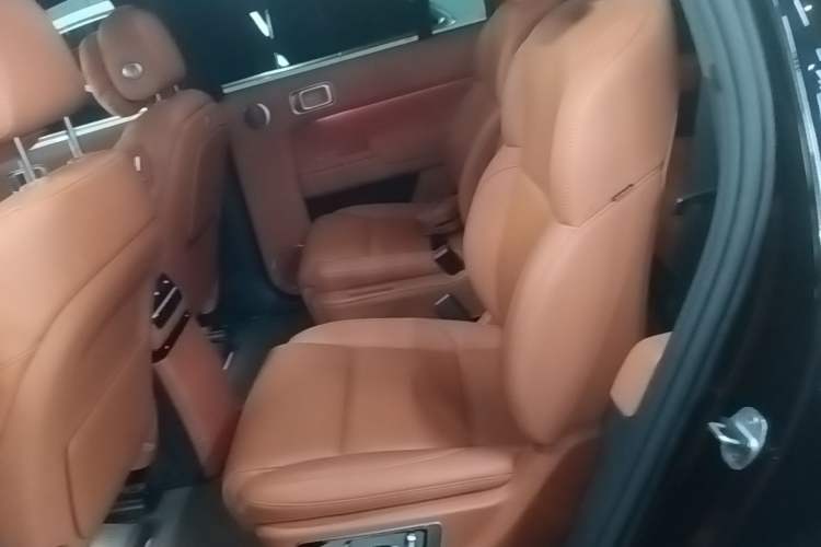 Used Li Auto L9 2022 Max model Left Rear Seat