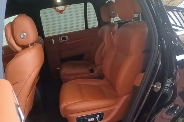 Used Li Auto L9 2022 Max model Left Rear Seat
