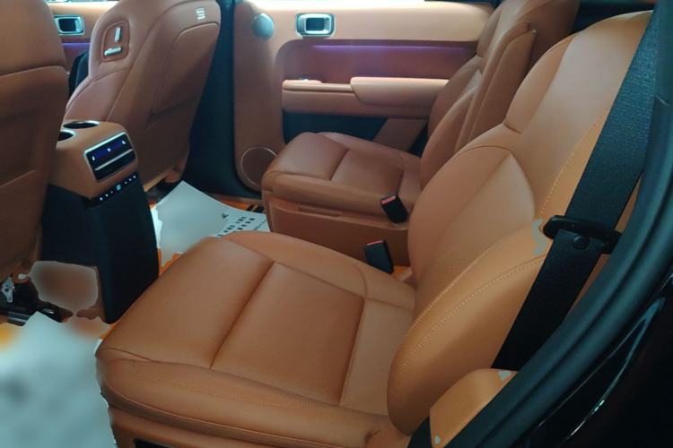 Used Li Auto L9 2022 Max model Left Rear Seat