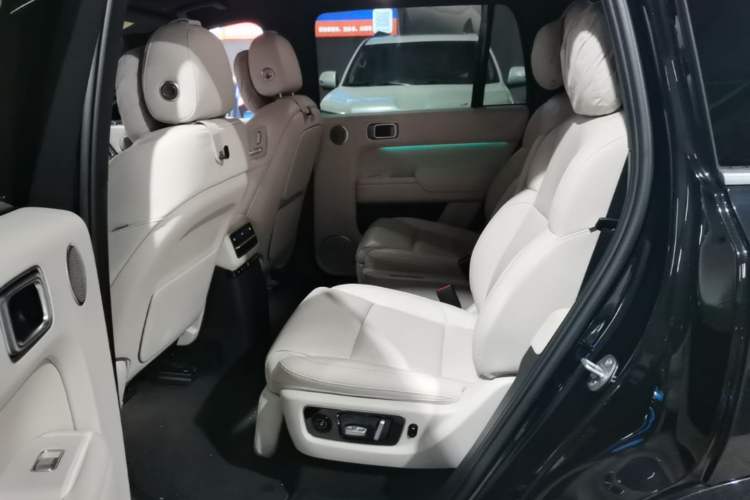 Used Li Auto L9 2022 Max model Left Rear Seat