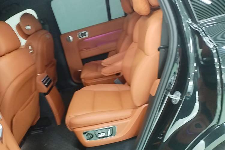 Used Li Auto L9 2022 Max model Left Rear Seat