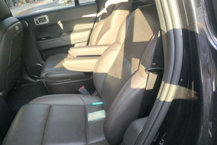 Used Li Auto L9 2022 Max model Left Rear Seat