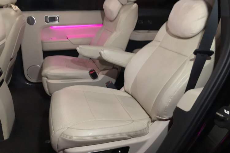 Used Li Auto L9 2022 Max model Left Rear Seat