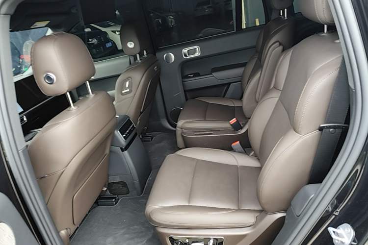 Used Li Auto L9 2022 Max model Left Rear Seat