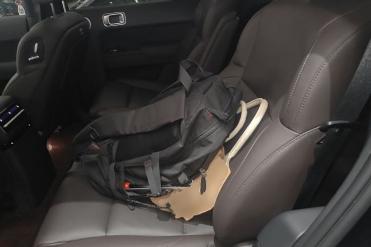 Used Li Auto L9 2022 Max model Left Rear Seat