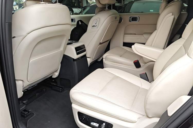 Used Li Auto L9 2022 Max model Left Rear Seat
