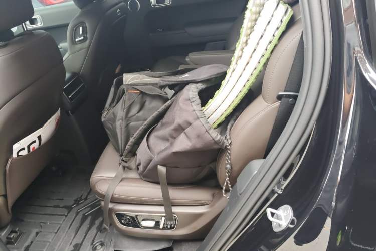 Used Li Auto L9 2022 Max model Left Rear Seat