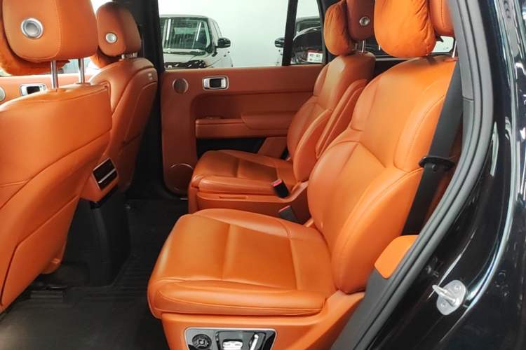 Used Li Auto L9 2022 Max model Left Rear Seat