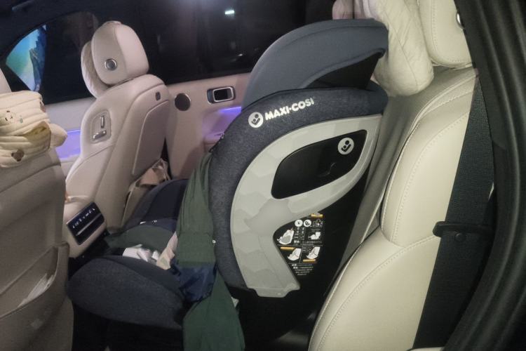 Used Li Auto L9 2022 Max model Left Rear Seat