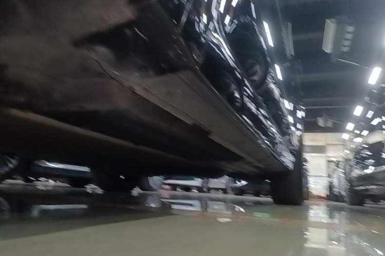 Used Li Auto L9 2022 Max model Left Side Sill