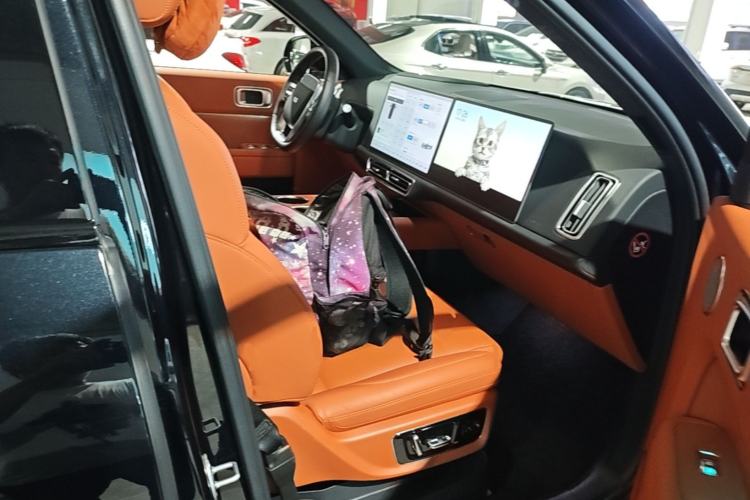 Used Li Auto L9 2022 Max model Right Front Seat