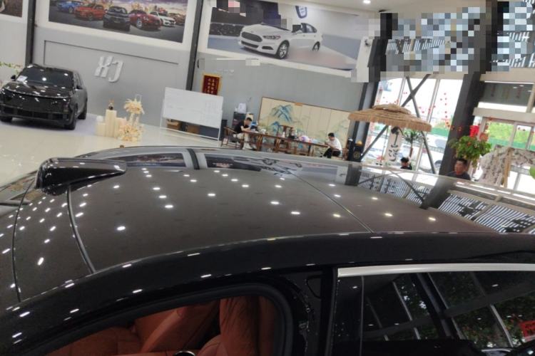 Used Li Auto L9 2022 Max model Roof