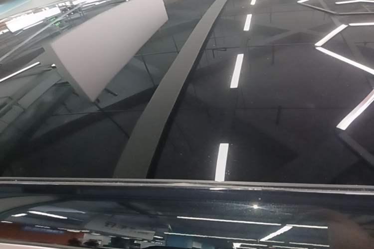 Used Li Auto L9 2022 Max model Roof