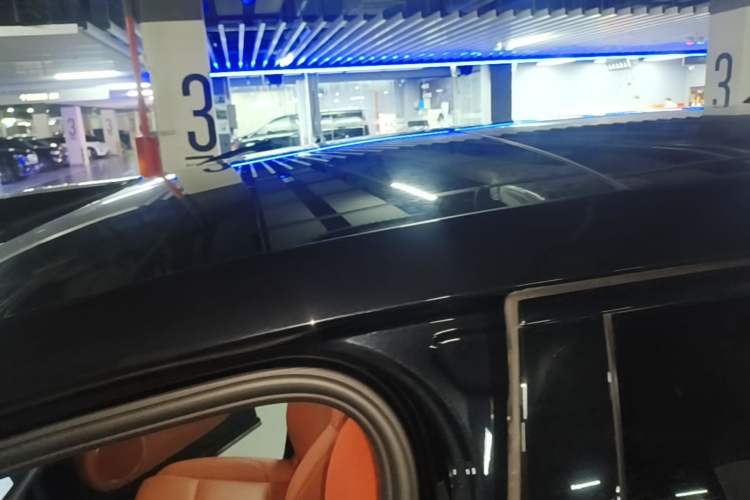 Used Li Auto L9 2022 Max model Roof