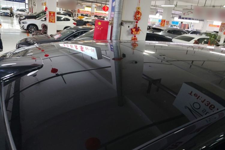 Used Li Auto L9 2022 Max model Roof